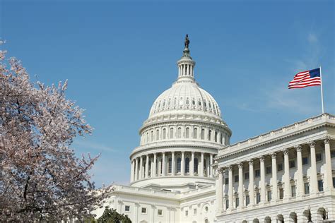 The company offers used cars, car insurances, automobile loans and car management services. NLC Statement on House Plan to Replace the Affordable Care Act - National League of Cities