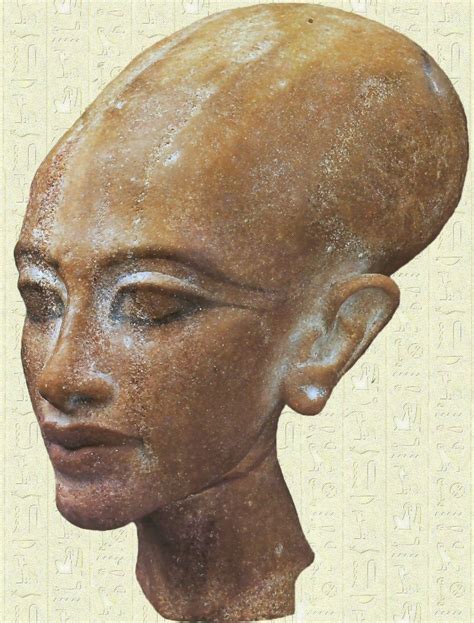 The Bald Beauty Of Nefertiti Ancient Egypt Pinterest