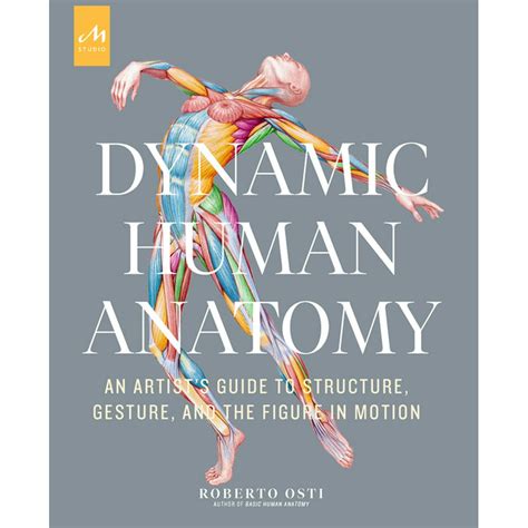 Dynamic Human Anatomy An Artists Guide To Structure Gesture And