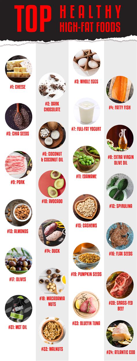 Which fats should you include in your diet – Diet Blog