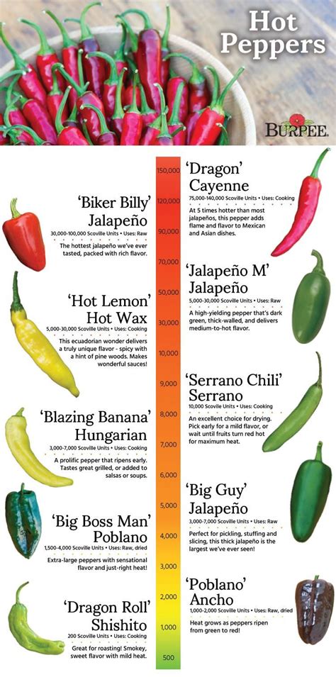 Hot Pepper Guide - Hot pepper varieties with average scoville units