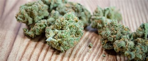 Most people want to know how long marijuana stays in their urine. How Long Does THC Stay In Your System | Medical Marijuana ...