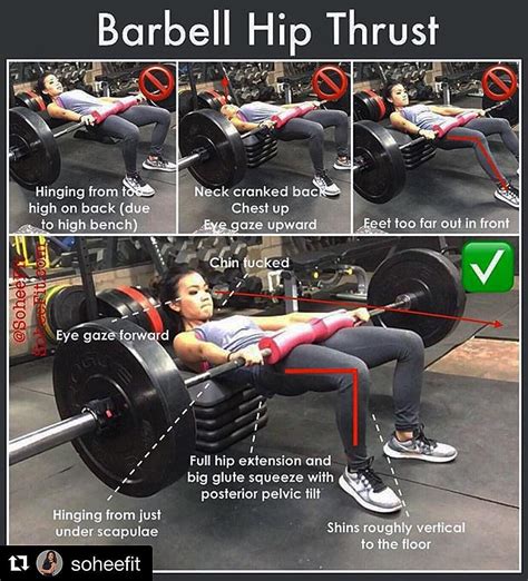 The Barbell Hip Thrust Exercise Videos And Guides