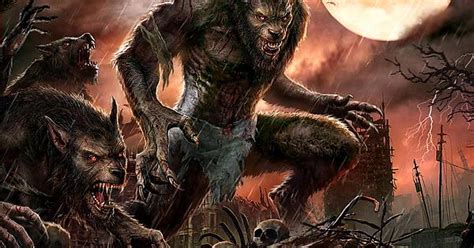 5 Werewolves Tonight To Give Van Helsing A Fright Album On Imgur