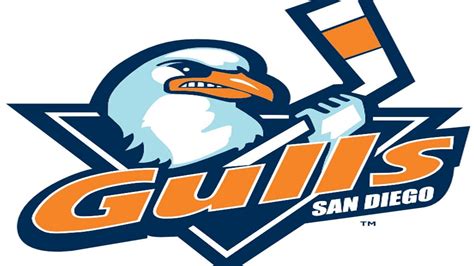 New San Diego Pro Hockey Team To Keep Gulls Name Times Of San Diego
