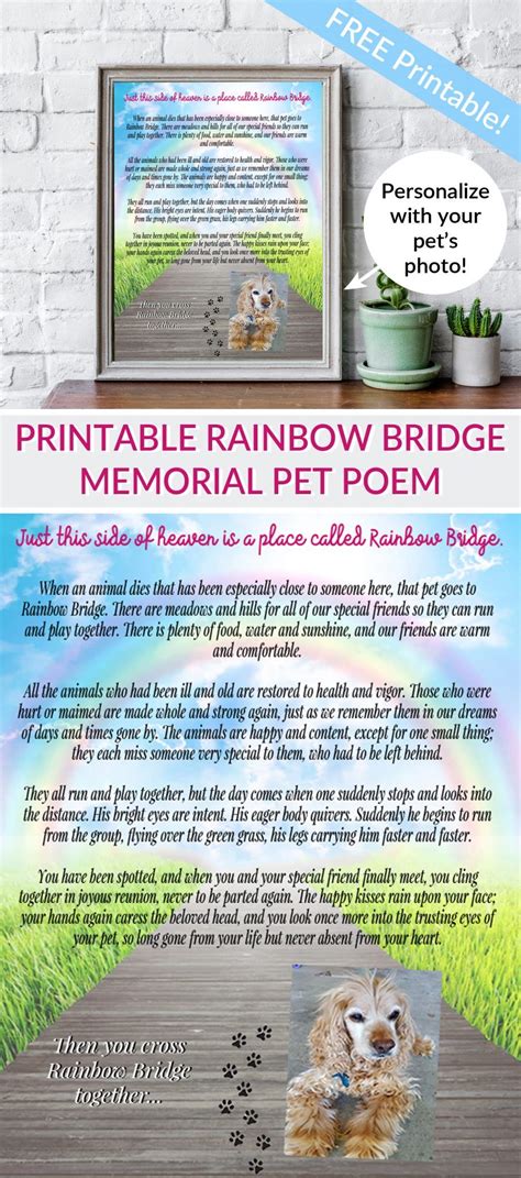 There's a special place our dear pets go when their time on earth is through. Printable Rainbow Bridge Memorial Pet Poem in 2020 | Pet ...