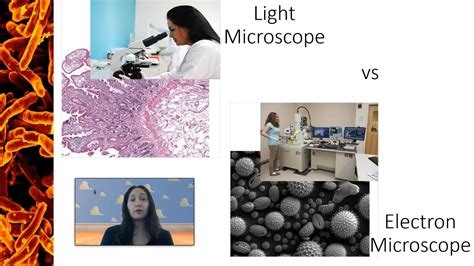 Light Vs Electron Microscopes Youtube