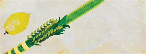 On Sukkot We Shake The Lulav And Etrog Learn How To Do This Mitzvah Of