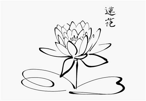 This coloring sheet height & width is around 600 pixel x 776 pixel with approximate file size for around 66.87 kilobytes. Collection Of Free Garden Drawing Lotus Flower Download ...