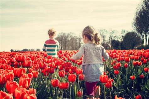 6 actividades para hacer durante la primavera con los niños y niñas