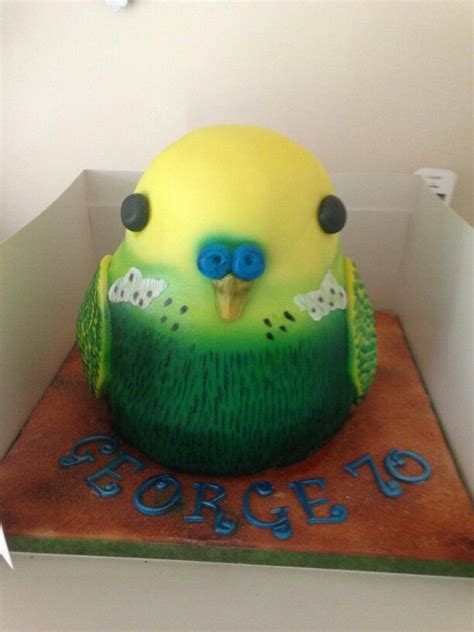 Budgie Birthday Cake Budgies Bird Party Beautiful Cakes