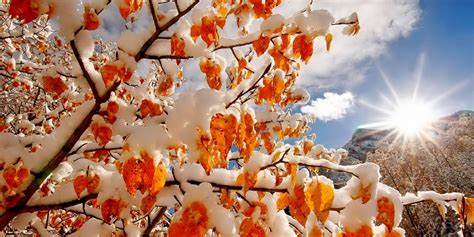 Питта понижающая диета Питание для питта вата | Диета Питание для питта вата | Диета Питта понижающая диета