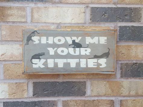Show Me Your Kitties Funny Sign Cat Sign Crazy Cat Lady Box Sign