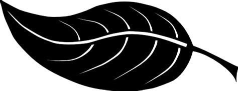 Leaf Clip Art at Clker.com - vector clip art online, royalty free