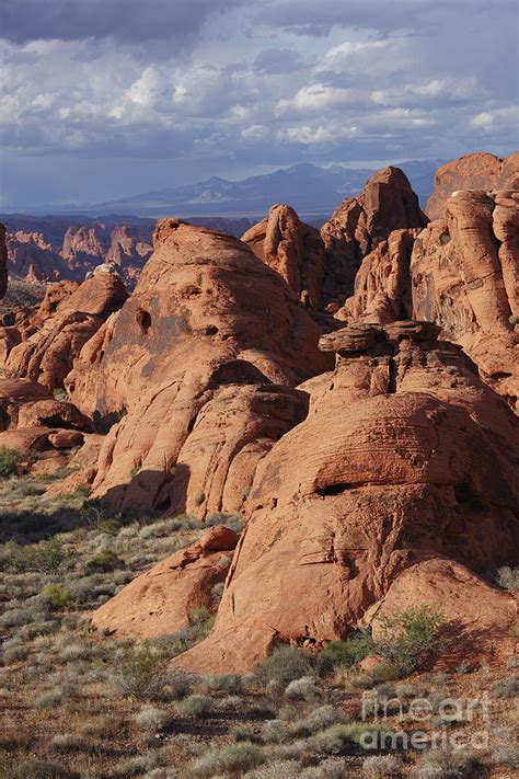 Valley Of Fire Photograph By Chris Selby Fine Art America