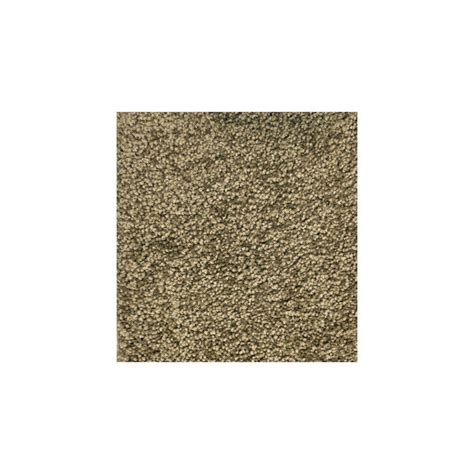 PetProof Carpet Sample - Maisie I - Color Prairie Dusk ...