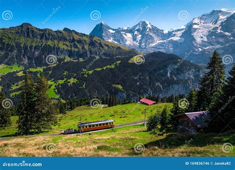 Electric Tourist Train And Snowy Jungfrau Mountains Bernese Oberland