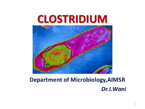 Clostridium Perfringens Sketchy Micro Azgardcure