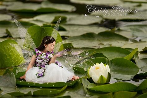 Lily Pads Digital Background For Fairy Composite Pictures Etsy