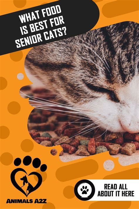 It comes in a range of tasty flavors to tempt older cats and has 28% protein from chicken. Is There A Soft Dry Cat Food for Older Cats? [ Detailed ...