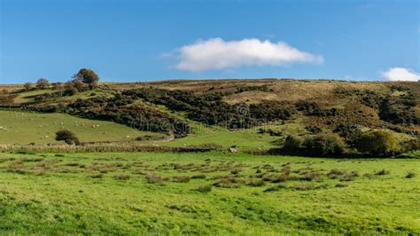 Exmoor Landscape Somerset England Uk Stock Image Image Of Knoll