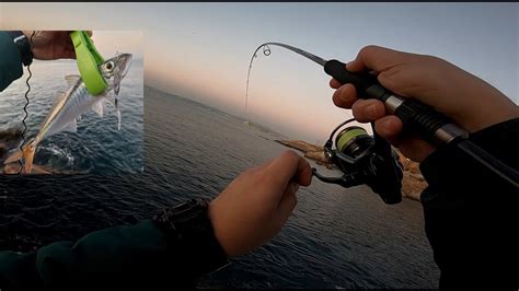 Que Linda Es La Pesca Ligera De Jureles Señuelos Muy Efectivos Pov