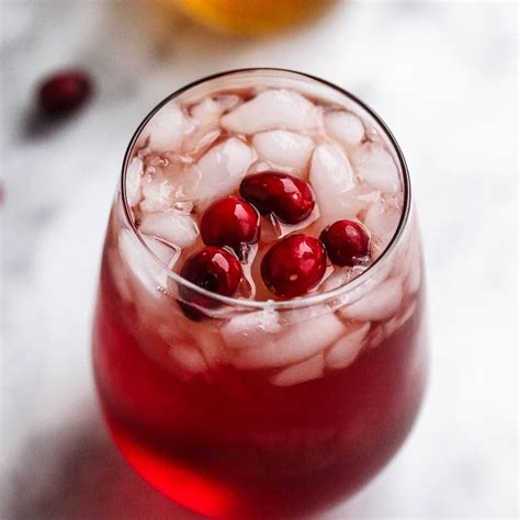 3 Ingredient Cranberry Apple Cider Detox Drink Recipe — Eatwell101