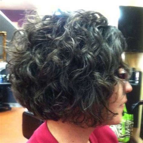 20 New Gray Curly Hair Hairstyles And Haircuts Lovely