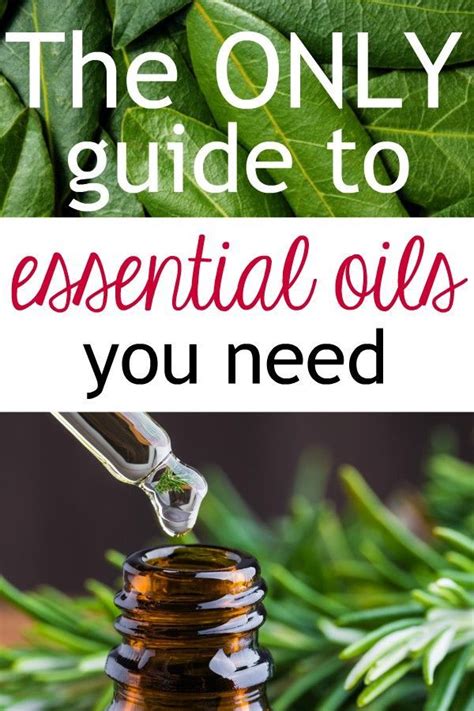 The Only Guide To Essential Oils You Will Ever Need Essential Oils
