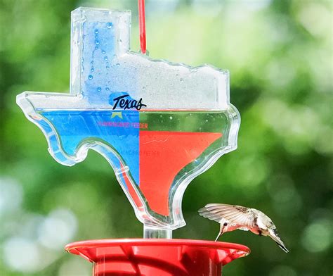 Using a bird feeder pole or shepherds hook is a very common way to hang a hummingbird feeder. Didn't take long for the hummers to find our new feeder ...