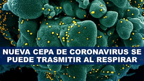 Lesa mukulu is a english album released on jan 2016. Nueva Cepa De Coronavirus : Encuentran nueva cepa de coronavirus en China, es más ... / La nueva ...