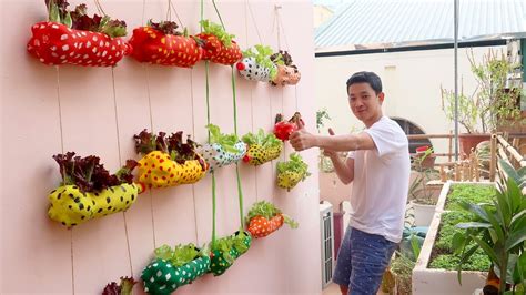 Clever Plastic Bottle Vertical Garden Ideas Gardening Ideas For Home