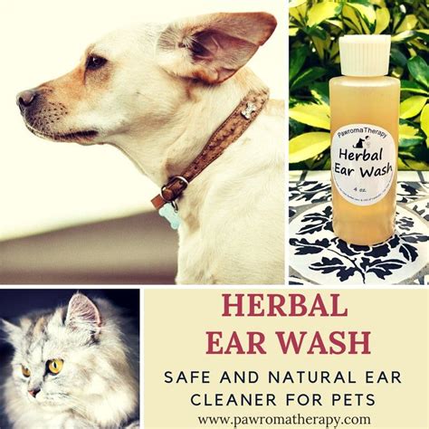 Herbal Ear Cleaner For Dogs And Cats 4oz Natural Pet Ear Wash Etsy