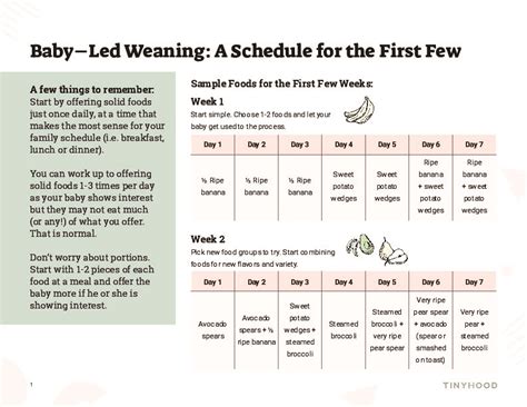 Introducing Solids 101 From Purees To Baby Led Weaning Tinyhood