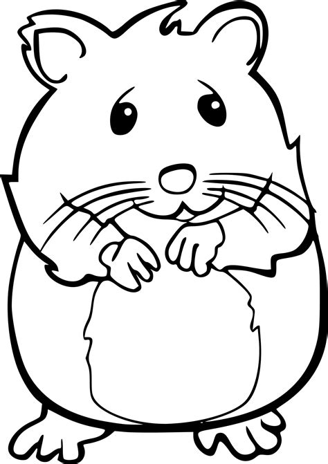 Hamster Coloring Page Free Printable Coloring Pages On Coloori Com