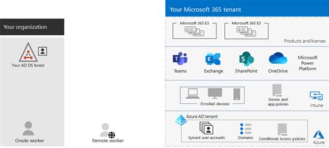 Tenant Management For Microsoft 365 For Enterprise Microsoft Learn