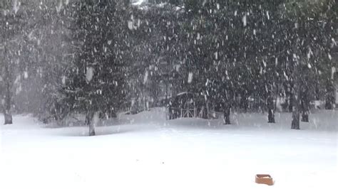 Sonido De Tormenta De Nieve Para Dormir Youtube
