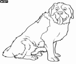 Juegos de Perros para colorear, imprimir y pintar