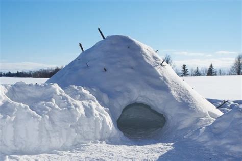 4 Best Winter Survival Shelters By Type How To Make Your Own