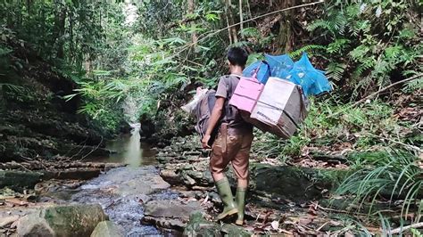 Berdua Bermalam Di Tengah Hutan Berburu Kapas Tembak Sumatra Part