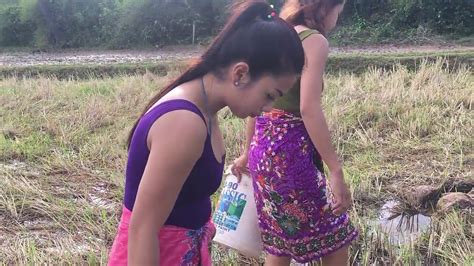 شاهد بنات الريف في كمبوديا كيف يصطادن السمك Youtube