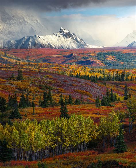 Fall Tundra Prints Marc Adamus Photography