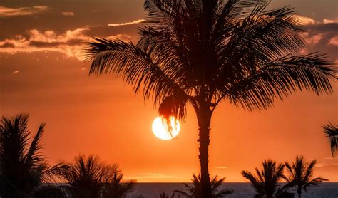 How To Enjoy Sunrises And Sunsets On Oahu Hawaii Home
