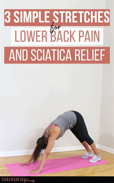 Simple Stretches For Lower Back And Sciatica Relief Coach Sofia