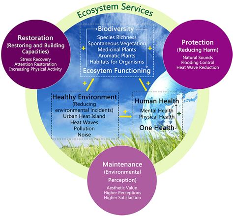 💣 Aesthetic Value Of Biodiversity Biodiversity Values 6 Major Values