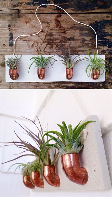 How to arrange garden at home. 12 Elegant Ways To Bring Air Plants Into Your Home ...