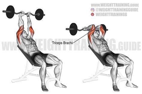 Incline Ez Bar Triceps Extension Exercise Instructions And Video