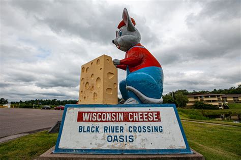 Giant Black River Crossing Oasis Mouse With Cheese In Wisconsin