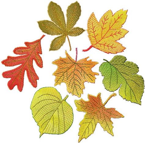 Advanced Embroidery Designs Fsl Autumn Leaves Set