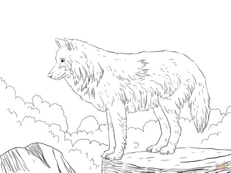 Arctic Snow Wolf coloring page | Free Printable Coloring Pages